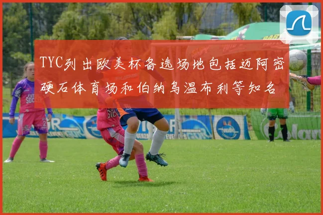 TYC列出欧美杯备选场地包括迈阿密硬石体育场和伯纳乌温布利等知名场馆