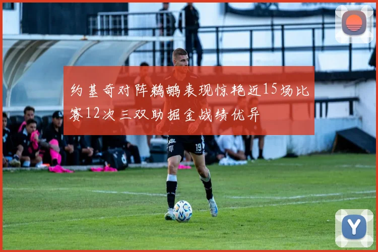 约基奇对阵鹈鹕表现惊艳近15场比赛12次三双助掘金战绩优异