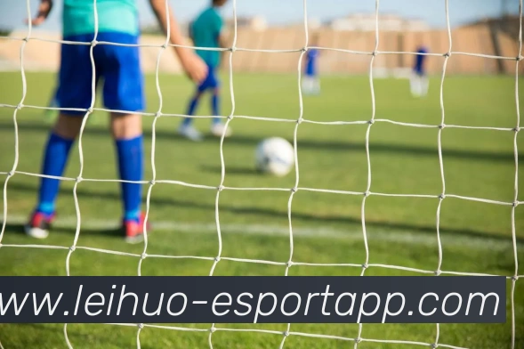 雷火电竞平台生态图